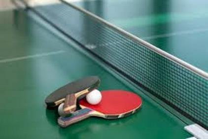 ping pong.table net racket ball racket.422x281