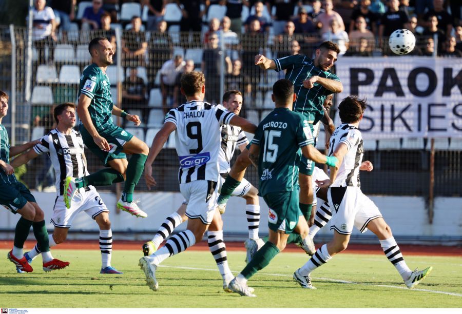 Λεβαδειακός-Π.Α.Ο.Κ. 4-1: Τα highlights (video)